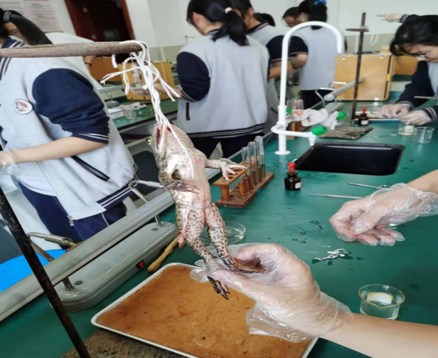 image023.png